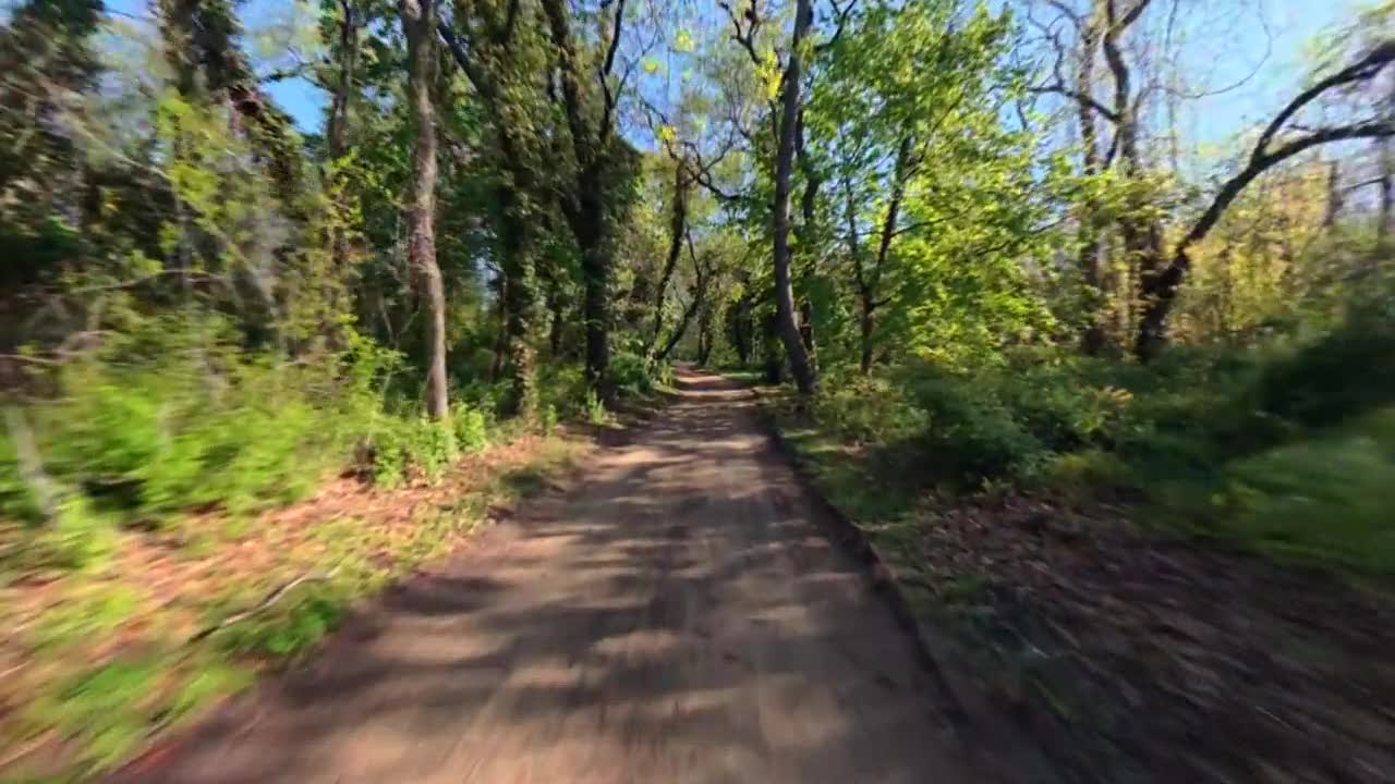 低空FPV穿越林间小路，阳光明媚的谷流州立公园。镜头沿阴影小径推近。视频素材画面1