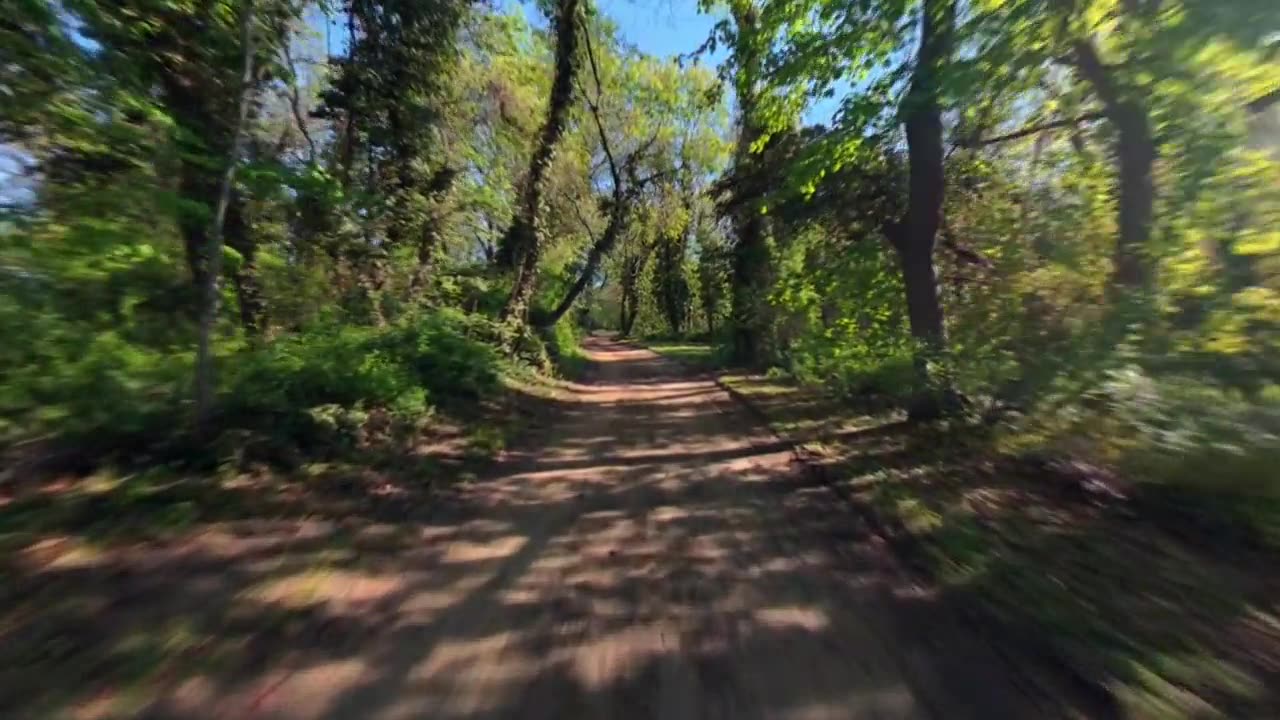 低空FPV穿越林间小路，阳光明媚的谷流州立公园。镜头沿阴影小径推近。视频素材画面2