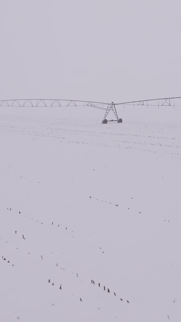 冬季，灌溉中心支轴系统在覆盖着雪的农田里闲置着视频素材画面1