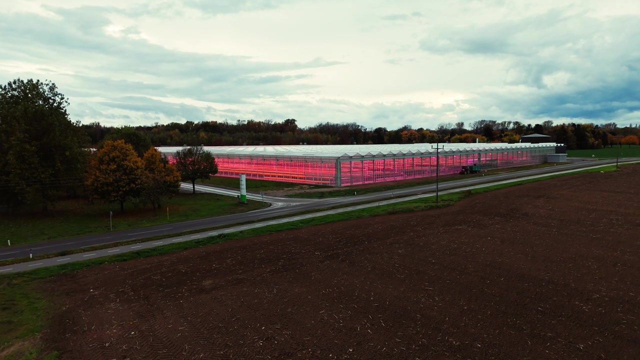 高科技温室，采用粉色LED植物生长灯照亮植物栽培视频素材画面2