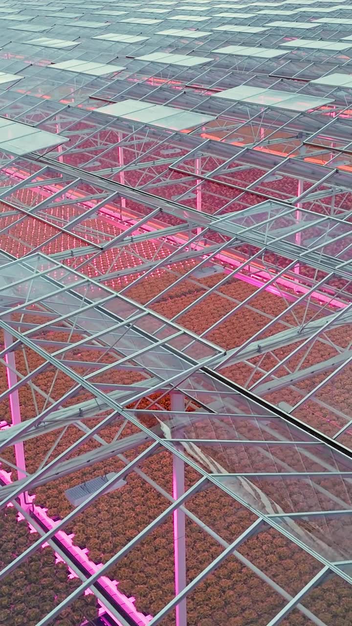粉色LED灯玻璃温室的航拍视频素材画面1