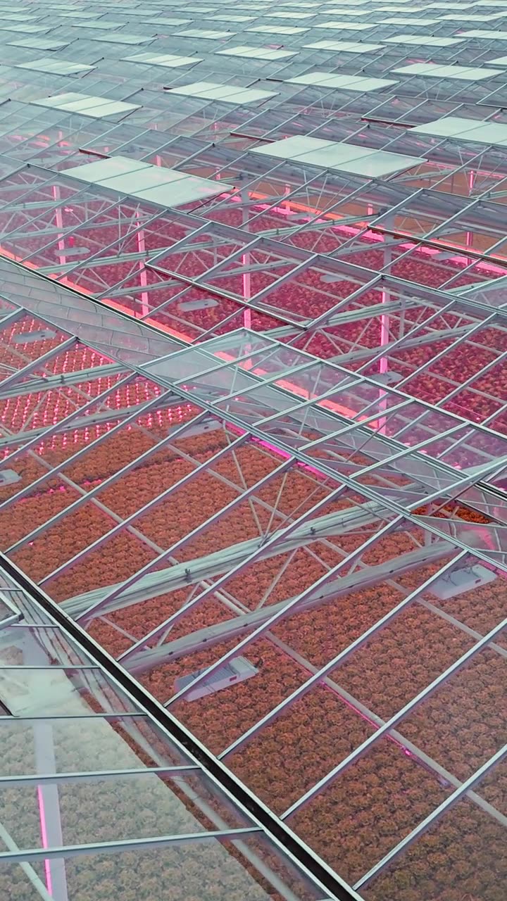 粉色LED灯玻璃温室的航拍视频素材画面2