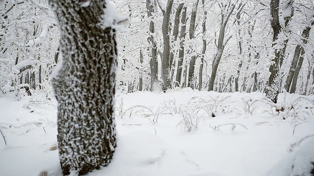 冬天女人在雪地上跑步视频素材