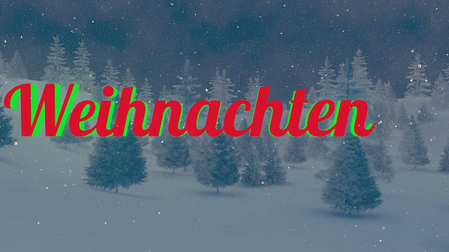 动画的Weihnachten文本在夜森林5视频素材画面2