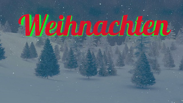 动画的Weihnachten文本在夜森林5视频素材画面3