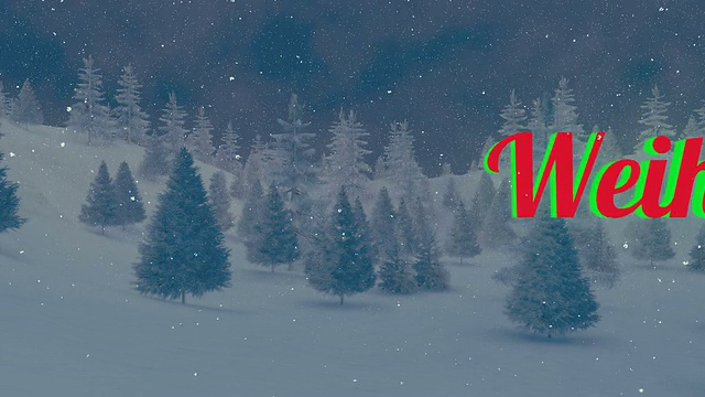 动画的Weihnachten文本在夜森林5视频素材画面4