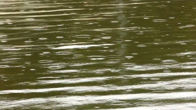 雨湖视频素材