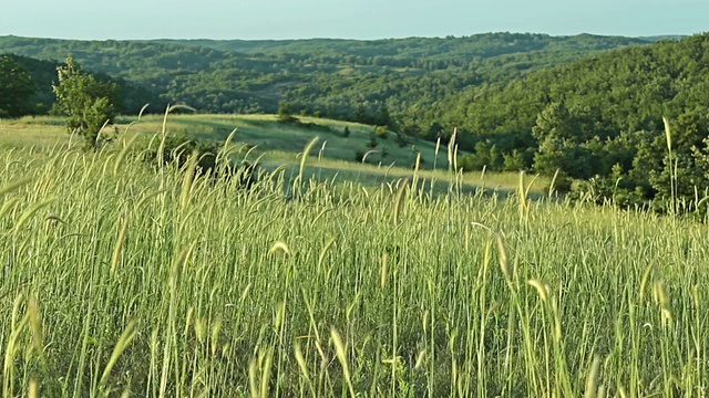 模糊的草地与绿色的田野和山的背景，HDR拍摄视频素材