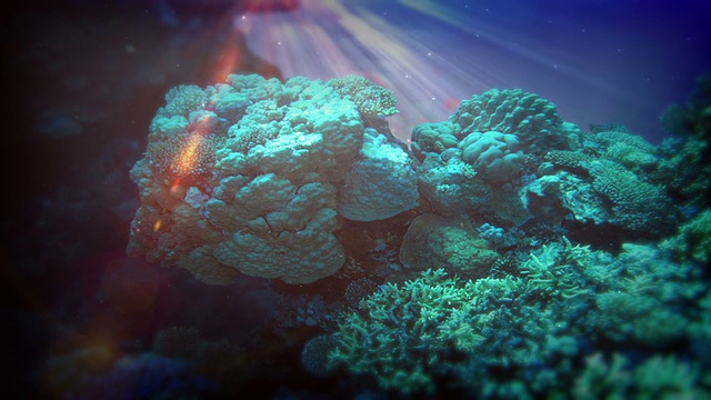 现实的水下场景视频素材画面1