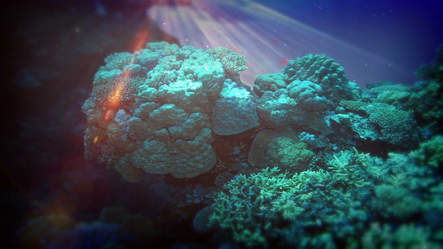 现实的水下场景视频素材画面2