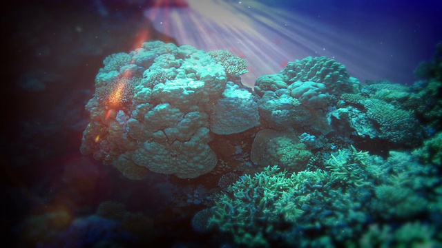 现实的水下场景视频素材画面4