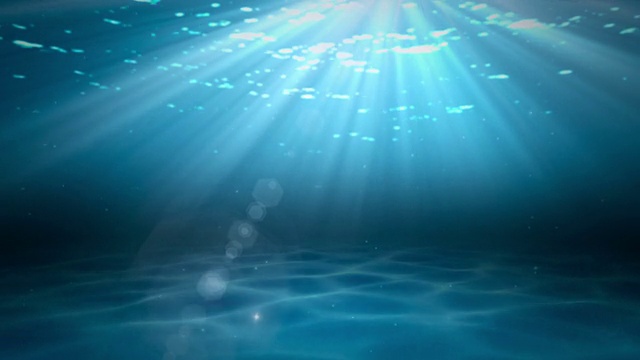 现实的水下场景视频素材画面1