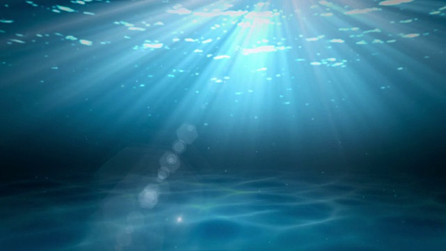 现实的水下场景视频素材画面2