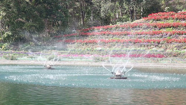 池塘里的漩涡喷泉视频素材