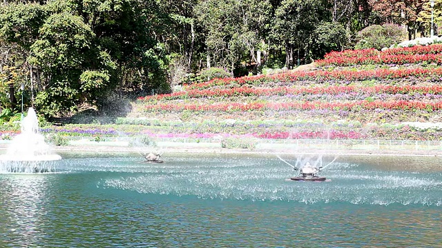 池塘里的漩涡喷泉视频素材