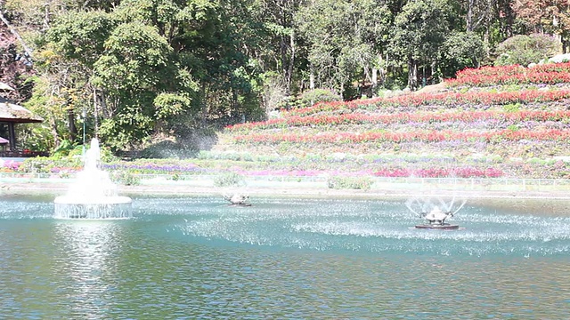 池塘里的漩涡喷泉视频素材