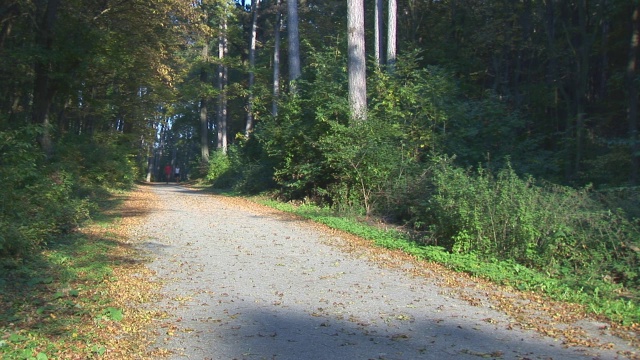 狭窄道路上的跑步者视频素材