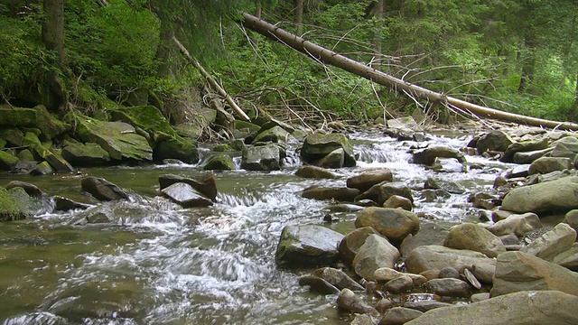 山区河流视频素材