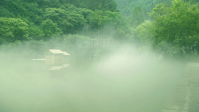 河上有雾视频素材