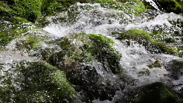 森林里的急流视频素材