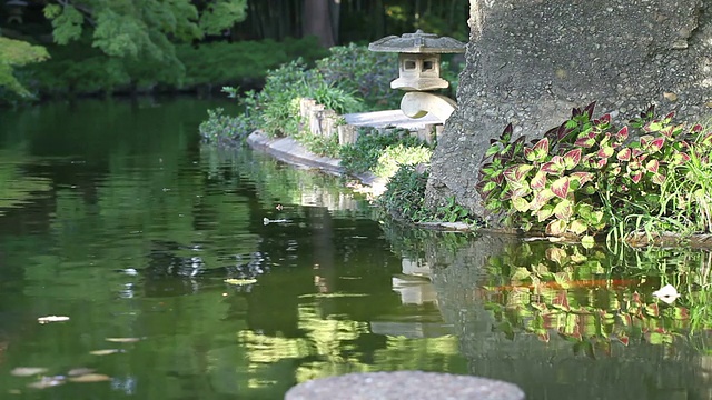 安静的花园。视频素材