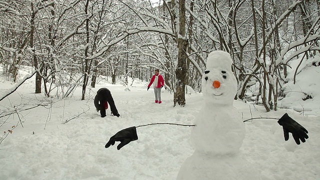 在雪林里玩耍的夫妇视频素材