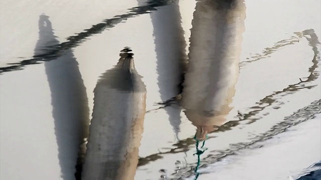 保险杠倒映在海面上视频素材