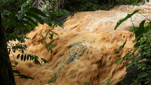 泥水从丛林水道中倾泻而下视频素材