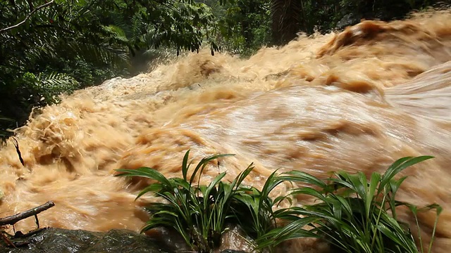 泥水从丛林水道中倾泻而下视频素材