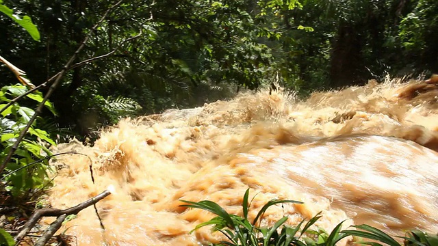 泥水从丛林水道中倾泻而下视频素材