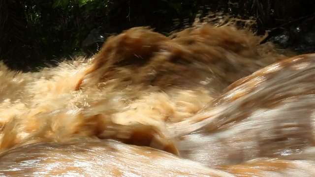 泥水从丛林水道中倾泻而下视频素材