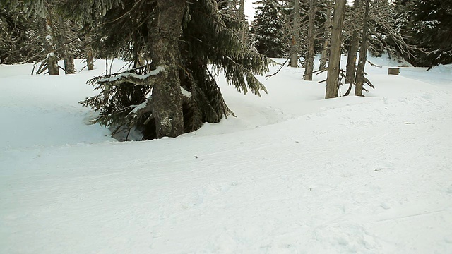 在冬天的森林里，人们在雪地上奔跑视频素材