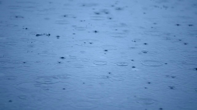 水坑里的雨滴视频下载