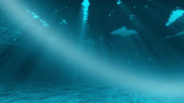 水下的场景视频素材画面2