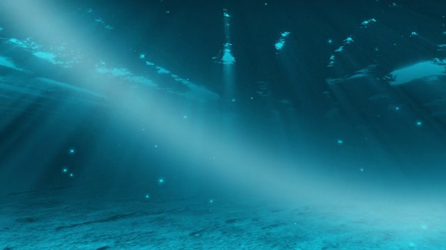 水下的场景视频素材画面3