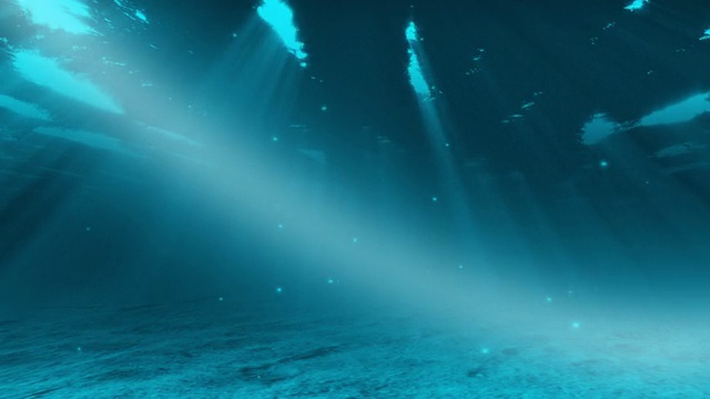 水下的场景视频素材画面4