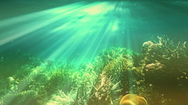 水下的场景视频素材画面1