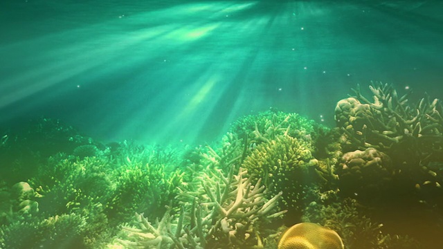 水下的场景视频素材画面2