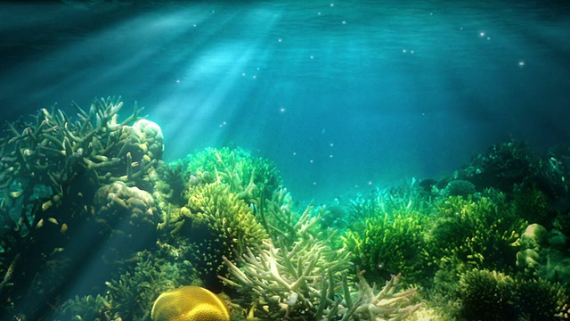 水下的场景视频素材画面2