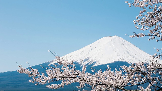 富士山视频购买