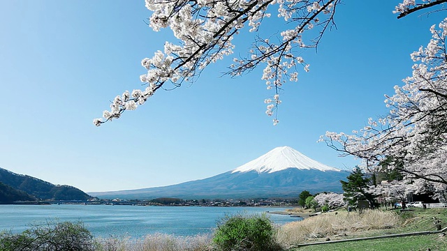 富士山视频购买