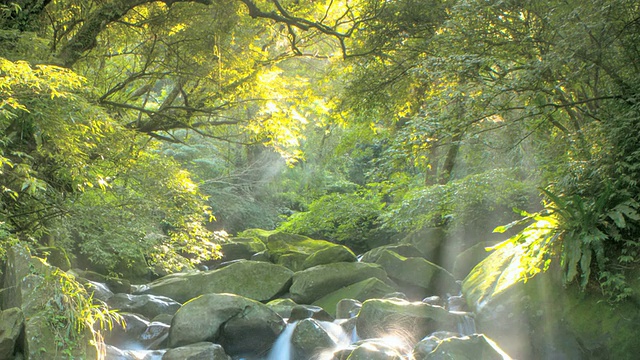 山川树木景观视频素材