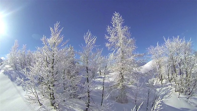 欧洲的阿尔卑斯山视频素材