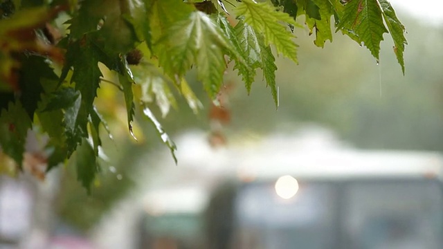 公共汽车站下着大雨视频素材