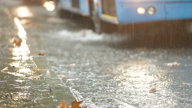 秋天的大雨在公共汽车站视频素材