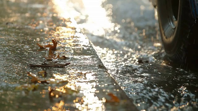 秋天的大雨在公共汽车站视频素材