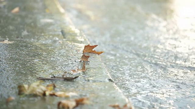 秋天，城市街道上下着大雨视频素材