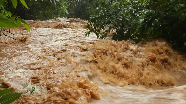 泥水从丛林水道中倾泻而下视频素材