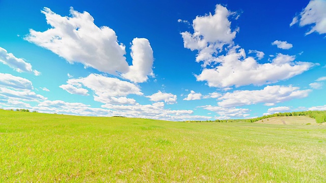 绿地视频素材画面2