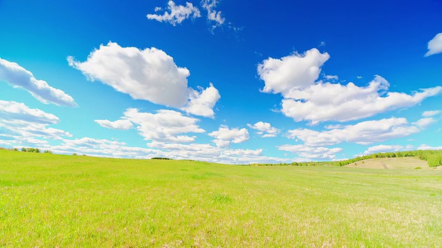 绿地视频素材画面4